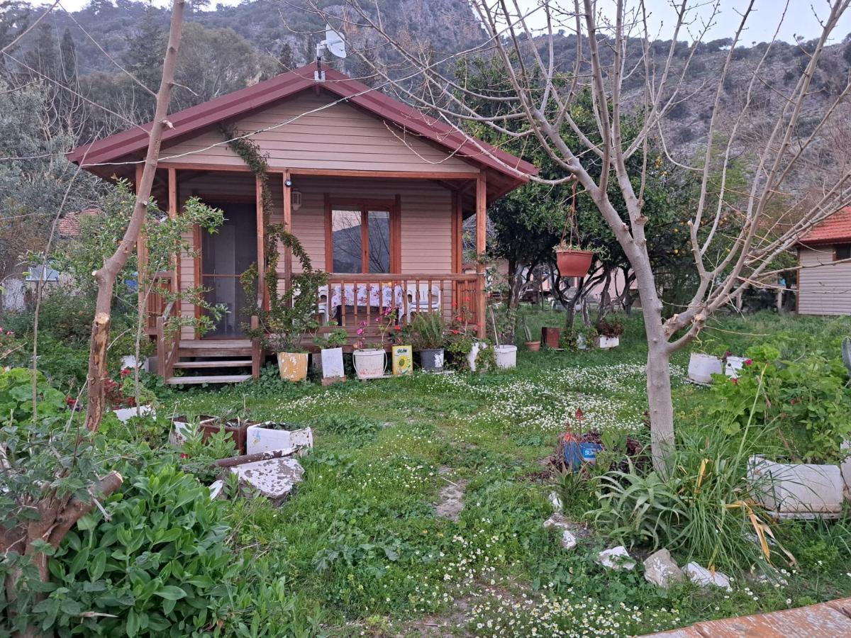 Caunos Bungalow Muğla Extérieur photo